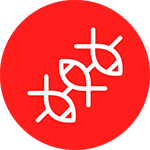 null